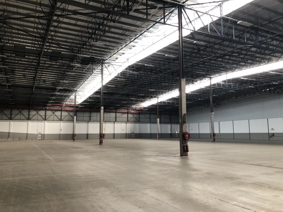 To Let Commercial Property for Rent in Epping Industrial Western Cape